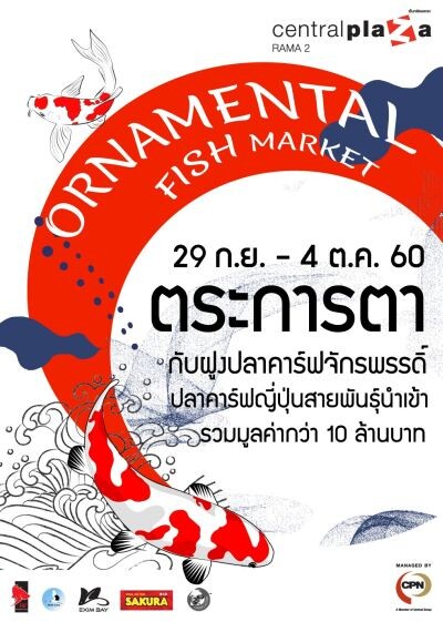 Ornamental Fish Market ตลาดนัดปลาสวยงาม ตอน ตระการตากับฝูงปลาคาร์ฟจักรพรรดิ์ ปลาคาร์ฟญี่ปุ่นสายพันธุ์นำเข้า