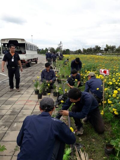 มหาวิทยาลัยแม่โจ้พร้อมจัดตกแต่งพระเมรุมาศจำลองที่จังหวัดเชียงใหม่