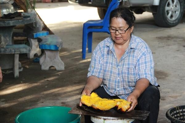 เที่ยวไทยวิถีอนุรักษ์ป่า ตามรอยพระราชดำริ ที่ชุมชนตำบลหนองโรง จ.กาญจนบุรี