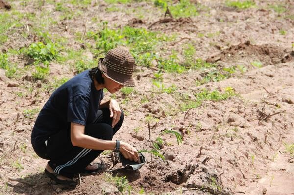 เที่ยวไทยวิถีอนุรักษ์ป่า ตามรอยพระราชดำริ ที่ชุมชนตำบลหนองโรง จ.กาญจนบุรี