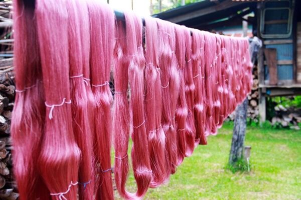 'เสน่ห์เมืองช้าง มรดกอาหารไทยโบราณ วิถีแห่งไหมอีสาน’ ที่ชุมชนตำบลสวาย จ.สุรินทร์