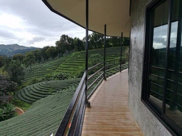 สัมผัสอ้อมกอดแห่งขุนเขาและไร่ชา ณ รีสอร์ท 101 Tea Green View เชียงราย