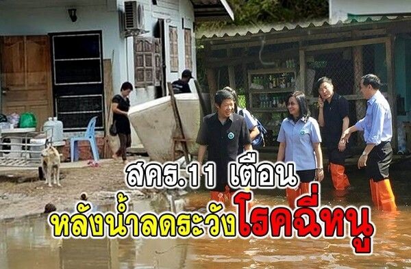 สคร.11 เตือนหลังน้ำลดระวังโรคฉี่หนู