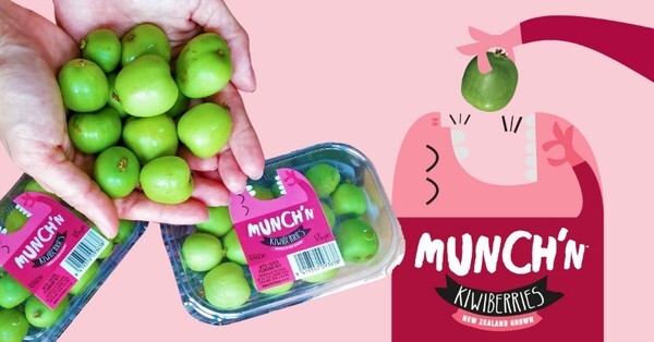 Munch’n kiwiberries - ซูเปอร์ฟรุตขนาดจิ๋วสุดคิ้วท์พันธุ์ใหม่มาถึงเมืองไทยแล้ว!