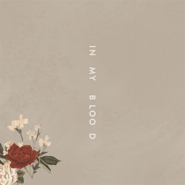 คัมแบ็ค!! SHAWN MENDES ควบ 2 เพลงใหม่!!  'In My Blood’ และ 'Lost In Japan’ เตรียมครองหน้าปัดวิทยุ!!