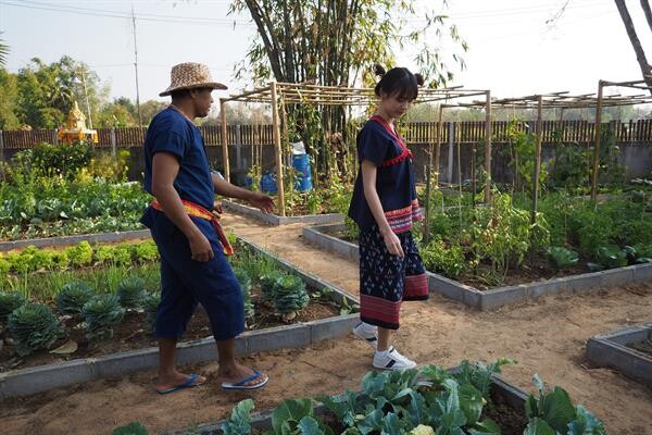 ครั้งแรกในชีวิต “แพทตี้” กินปลาร้า!! พร้อมเรียนรู้เกษตรสนุก โชว์ลีลาตำส้มตำ ในรายการ “เที่ยวบ้านพี่ไมค์”