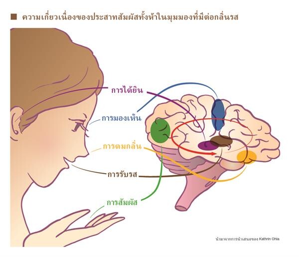 “Ajinomoto” ได้ทำการเผยแพร่ข้อมูลเกี่ยวกับรสชาติอูมามิ ผงชูรส (MSG) อาหาร และโภชนาการ ที่เราได้รับมีผลต่ออาหารที่เราบริโภคอย่างไร?