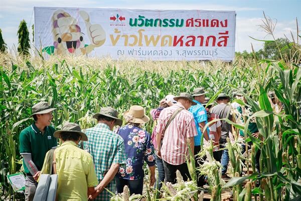 อีสท์ เวสท์ ซีด โชว์ศักยภาพ อวดสายพันธุ์ข้าวโพดจัดงาน “นวัตกรรม ศรแดงข้าวโพดหลากสี” ตอกย้ำความเป็นอันดับหนึ่ง เผยตั้งเป้าโตขึ้น 10% สิ้นปี