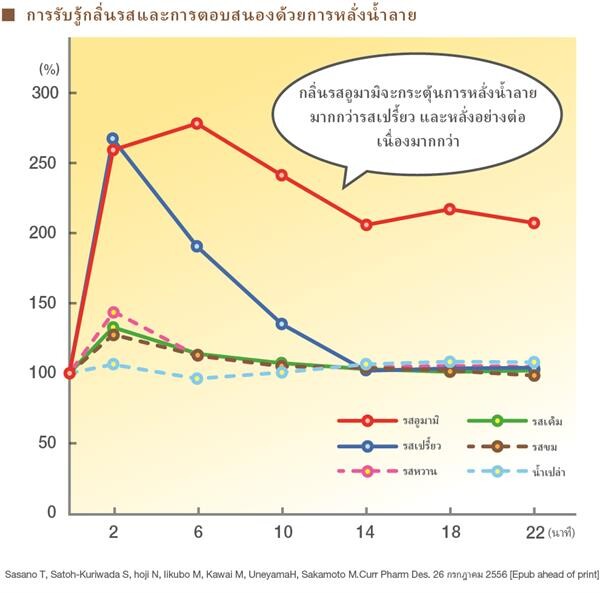 ส่งต่อวิถีชีวิตยืนยาวแบบญี่ปุ่น ภาค 2 อูมามิช่วยให้เราเจริญอาหารในวัยเกษียณ?