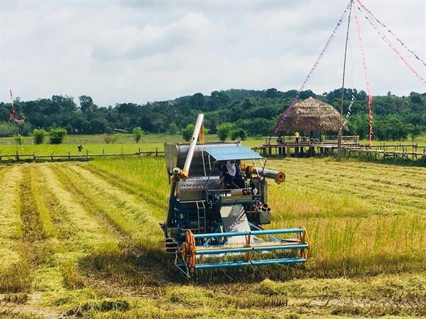 กรมส่งเสริมสหกรณ์ตรวจความพร้อมยุ้งฉางสหกรณ์ทั่วประเทศ เตรียมรองรับเก็บชะลอข้าวเปลือกตามมาตรการช่วยเหลือเกษตรกรผู้ปลูกข้าวปีการผลิต 2561/62