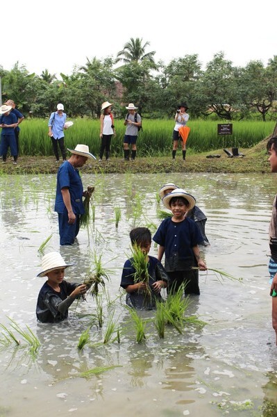 สามพราน ริเวอร์ไซด์ เอาใจครอบครัวเที่ยวแนวกรีน จัดโปรพิเศษต้อนรับวันแม่ ชวน คู่แม่ -ลูก ตะลุย ปฐม ออร์แกนิก ฟาร์ม สัมผัสวิถีชาวนาอินทรีย์