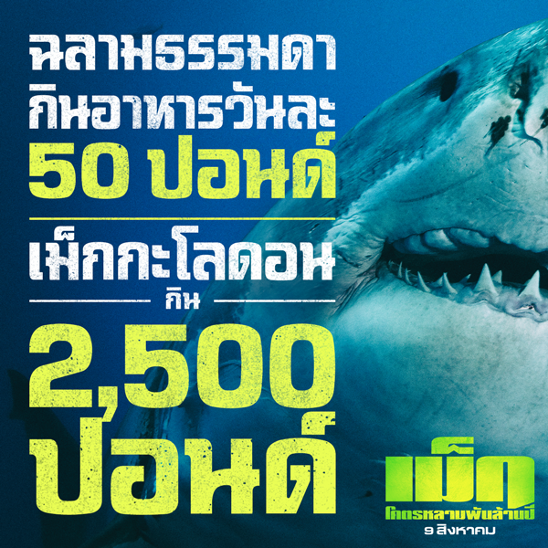 เรื่องน่ารู้ก่อนดู The Meg – โคตรหลามพันล้านปี 9 สิงหาคมในโรงภาพยนตร์