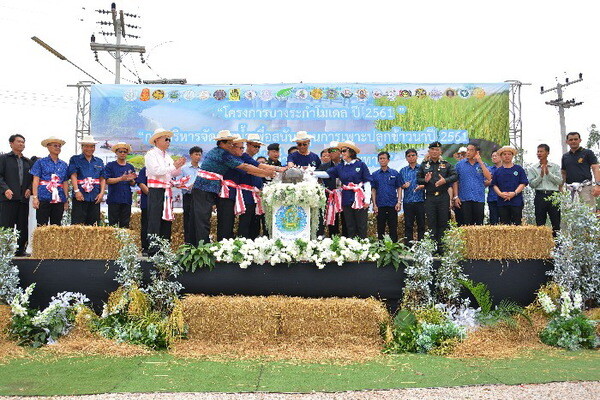 กรมชลประทานเดินหน้าบางระกำโมเดล ขยายพื้นที่แก้มลิงธรรมชาติอีกกว่า 1 แสนไร่ รับน้ำเพิ่ม ลดผลกระทบจากอุทกภัย