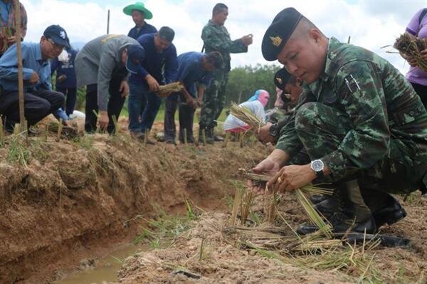 ผู้ตรวจราชการส.ป.ก.เปิดงาน “จอบสามัคคี ฟื้นวิถีกสิกรรม ลุ่มน้ำยม” จังหวัดพิษณุโลก