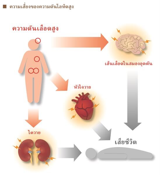 การปรุงรสอูมามิเพียงเล็กน้อยช่วยลดปัญหาสุขภาพอันใหญ่หลวงได้หรือไม่?