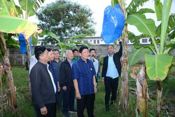 กระทรวงเกษตรฯ ส่งเสริมการเกษตรแบบแปลงใหญ่ พร้อมสนับสนุนการรวมกลุ่ม เพื่อสร้างความเข้มแข็งให้แก่สมาชิก