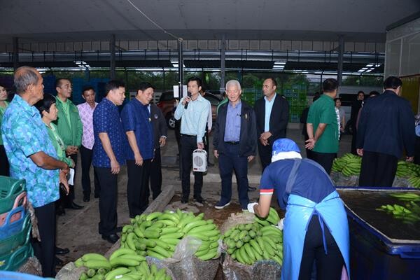 กระทรวงเกษตรฯ ส่งเสริมการเกษตรแบบแปลงใหญ่ พร้อมสนับสนุนการรวมกลุ่ม เพื่อสร้างความเข้มแข็งให้แก่สมาชิก