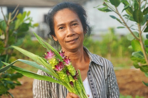 กลุ่มเกษตรอินทรีย์ “บ้านปลักธงชัย” รวมตัวปลูกผักปลอดภัย ขยายตลาด “คนรักสุขภาพ” สร้างสุขภาวะทั้งผู้ปลูกและผู้บริโภค