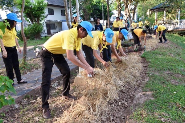 สพร.9 พิษณุโลก ”รณรงค์ปลูกปอเทือง ให้เหลืองอร่าม งามรุ่งเรือง”