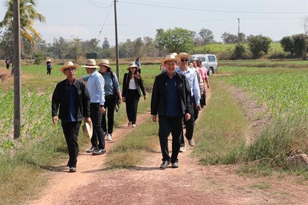 สหกรณ์การเกษตรในอุบลราชธานีพร้อมประสานเอกชนรับซื้อข้าวโพดหลังนาจากเกษตรกร เกษตรกรร่วมโครงการเกือบหมื่นราย พื้นที่ปลูกข้าวโพดกว่า 80,000 ไร่