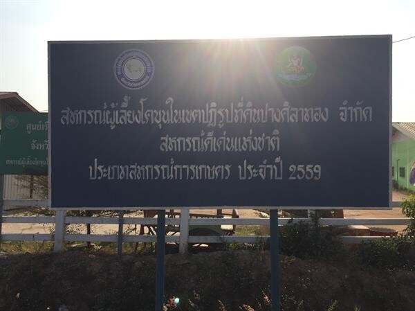 ผลสำเร็จกองทุน FTA ทุ่ม 25 ล้าน ยกระดับโคเนื้อ-โคขุน หนุนสหกรณ์ผู้เลี้ยงโคขุนปางศิลาทอง