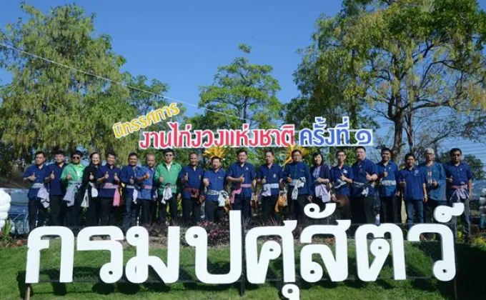 กระทรวงเกษตรฯ มุ่งพัฒนาระบบการตลาดของไก่งวง