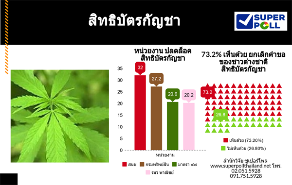 SUPER POLL สิทธิบัตรกัญชา