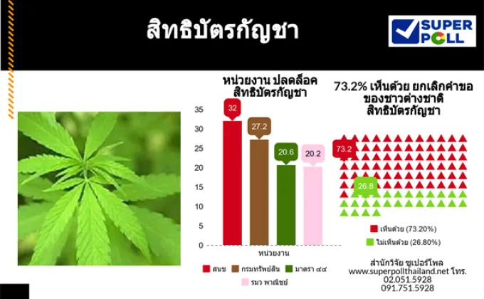 SUPER POLL สิทธิบัตรกัญชา –