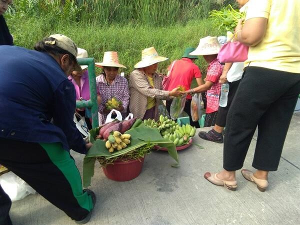 ชาวชุมชนทุ่งครุจัดกิจกรรมท่องเที่ยวเชิงเกษตรทุกวันอาทิตย์แรกของทุกเดือนพายเรือชมสวนส้มบางมดและเที่ยวชมธรรมชาติ