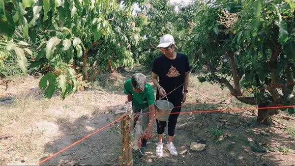 “นะ” พาทึ่งอาชีพสุดแปลก “หลอกมดแดงให้ออกไข่” สุดยอดภูมิปัญญาชาวบ้าน