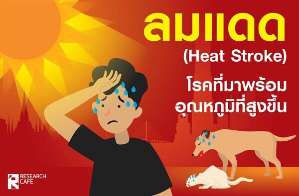 ลมแดด (Heat Stroke) โรคที่มากับอุณหภูมิที่สูงขึ้น