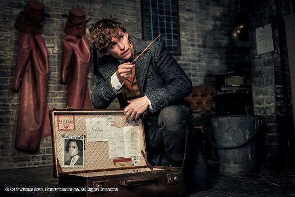 Fantastic Beasts 3 จะพาเหล่าสัตว์วิเศษกลับมาผจญภัยอีกครั้ง พ.ย. 2021