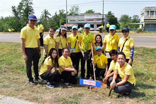 ภาพข่าว: ปลูกต้นทองอุไร