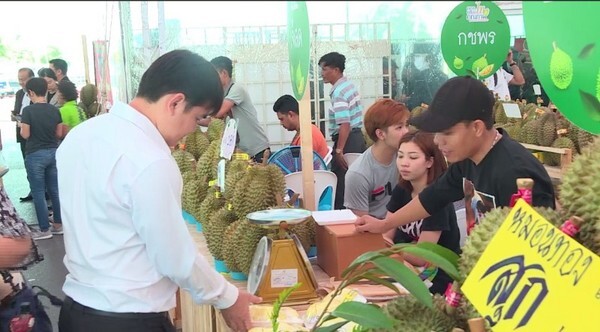 เกษตรฯ มุ่งพัฒนาทุเรียนคุณภาพ จับมือ ตลาดไท