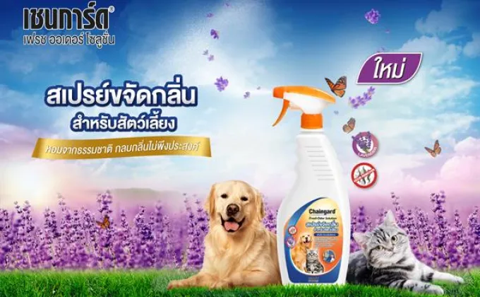 เชนการ์ด” ขอแนะนำ “เชนการ์ด เฟรซ