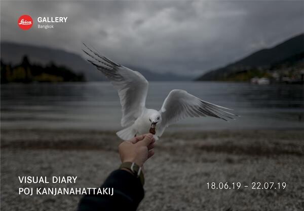 งาน 'VISUAL DIARY’ นิทรรศการเดี่ยวครั้งแรกของ พรพจน์ กาญจนหัตถกิจ หรือ “พจน์ Sixtysix”