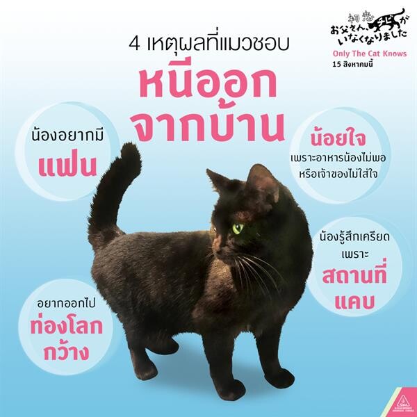 4 เหตุผลที่ น้องแมวชอบ หนีออกจากบ้าน เตรียมตัวให้พร้อมก่อนไปดู Only the cat knows เจ้าเหมียวจิบิหายไปไหนนะ