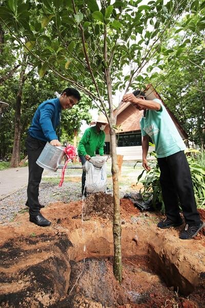 ภาพข่าว: โครงการปลูกต้นไม้เพื่อแม่ คณะสถาปัตยกรรมศาสตร์ มหาวิทยาลัยขอนแก่น