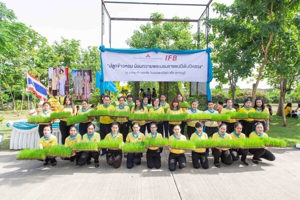 IFB จัดกิจกรรม “ปลูกข้าวหอม น้อมถวายพระบรมราชชนนีพันปีหลวง” แทนการมอบดอกมะลิ