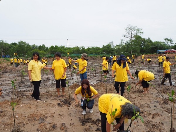 ทช. เดินหน้าโครงการปลูกต้นไม้-ปลูกป่า เฉลิมพระเกียรติ ร่วมสร้างพื้นที่สีเขียวป่าชายเลนเมืองระยอง 100 ไร่ 1 ล้านกล้า