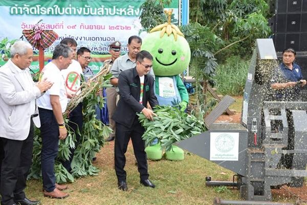 ภาพข่าว: ก.เกษตรฯ งานวันรณรงค์สำรวจและป้องกันกำจัดโรคใบด่างมันสำปะหลัง