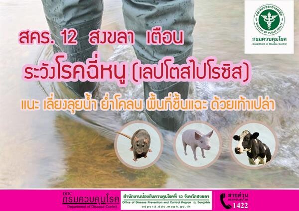 สคร. 12 สงขลา เตือนระวัง โรคฉี่หนู (เลปโตสไปโรซิส) แนะ เลี่ยงลุยน้ำ ย่ำโคลน พื้นที่ชื้นแฉะ ด้วยเท้าเปล่า