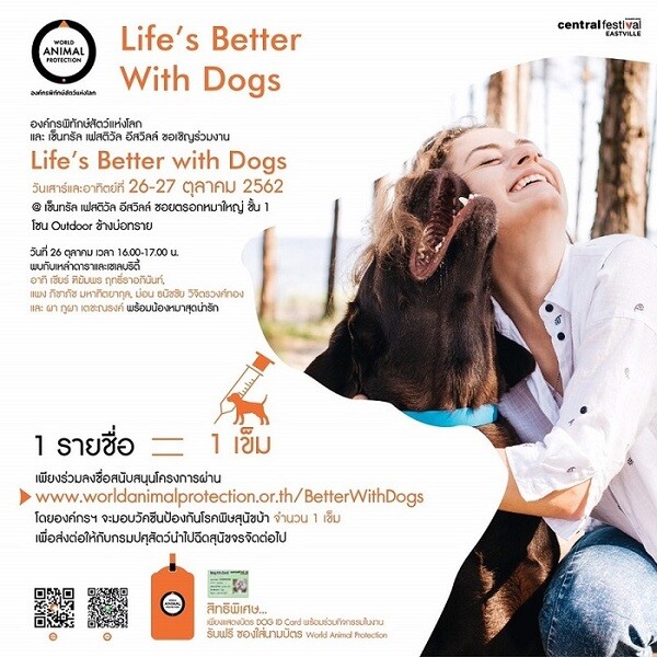 องค์กรพิทักษ์สัตว์แห่งโลก ชวนรณรงค์ในกิจกรรม Life's Better with Dogs