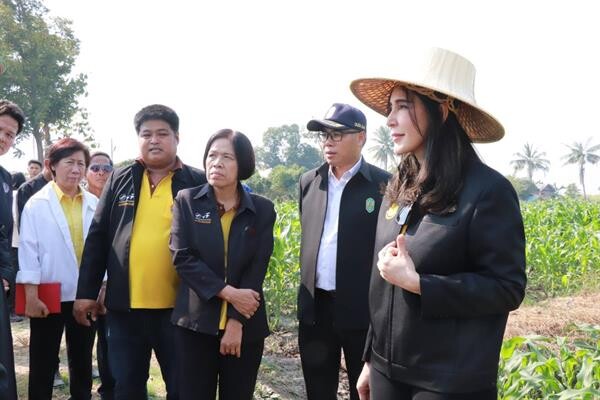 รมช.มนัญญา ลงพื้นที่จังหวัดพิษณุโลกและอุตรดิตถ์ติดตามโครงการส่งเสริมสมาชิกปลูกข้าวโพดหลังนาปีการผลิต 2562/63