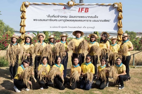 IFB จัดกิจกรรมเทิดพระเกียรติ “ปลูกข้าวหอม น้อมถวาย พระบรมราชชนนีพันปีหลวง”ครั้งที่ 2 และ “เกี่ยวข้าวหอมน้อมถวาย พระบาทสมเด็จพระบรมชนกาธิเบศร มหาภูมิพลอดุลยเดชมหาราช บรมนาถบพิตร”