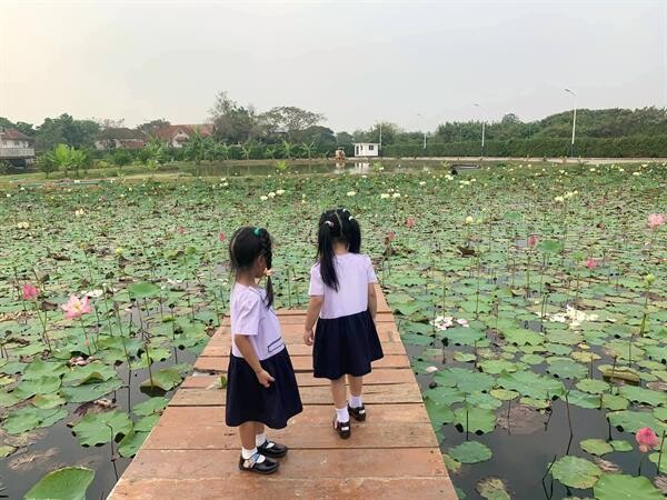 “สาธิตกรุงเทพธนบุรี” เปิดสระบัวขนาดยักษ์เป็น “ปอดแห่งใหม่ ของชาวฝั่งธนฯ”