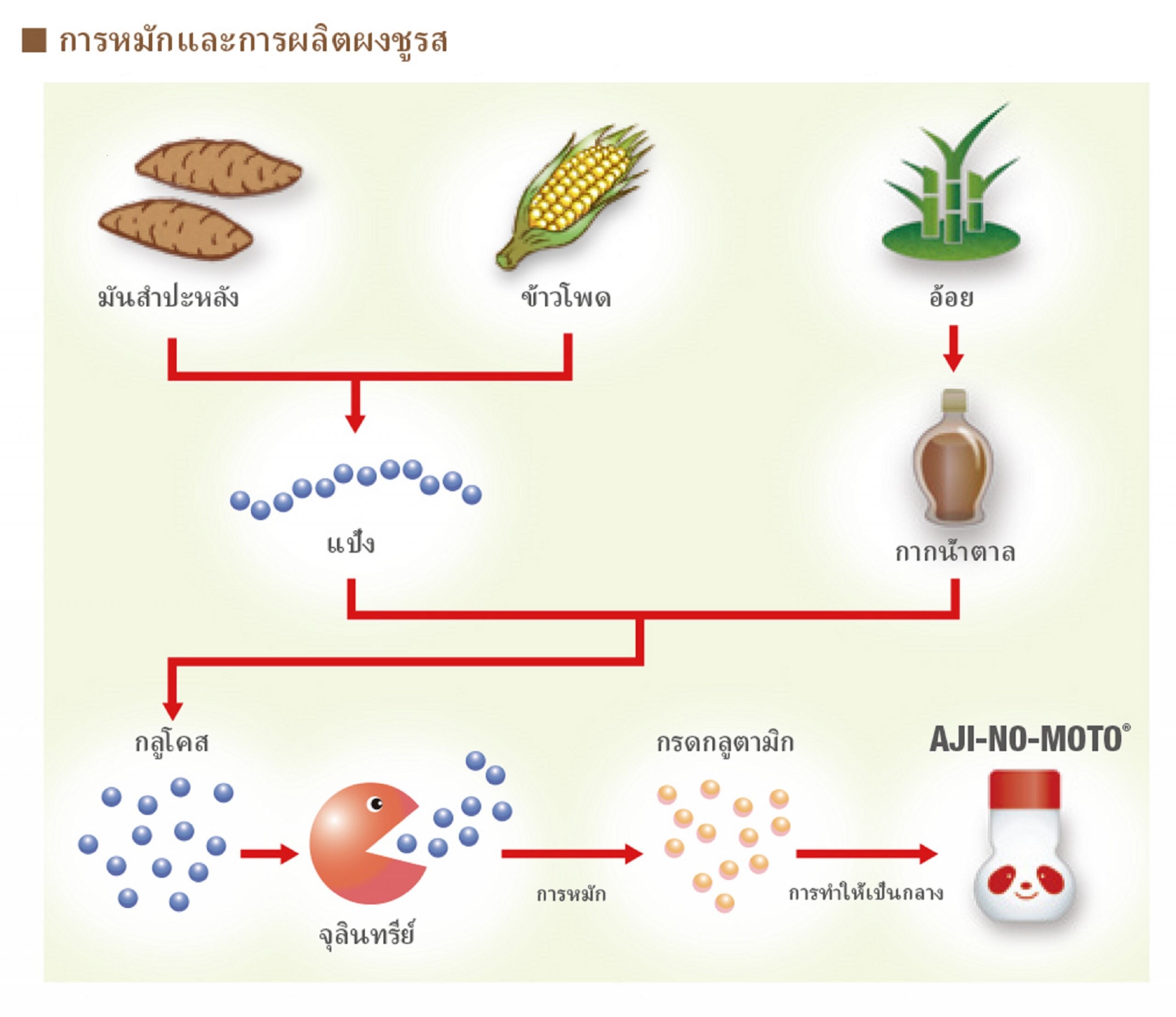 การหมัก: ความมหัศจรรย์ของธรรมชาติเคล็ดลับเบื้องหลังความอร่อย และผงชูรส