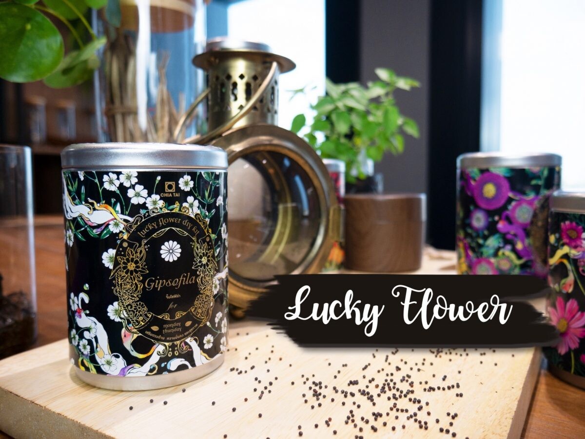 สายมูห้ามพลาด! เจียไต๋ โฮมการ์เด้นชวนปลูก “Lucky Flower” เสริมดวงให้ชีวิต พร้อมเนรมิตสีสันให้บ้าน