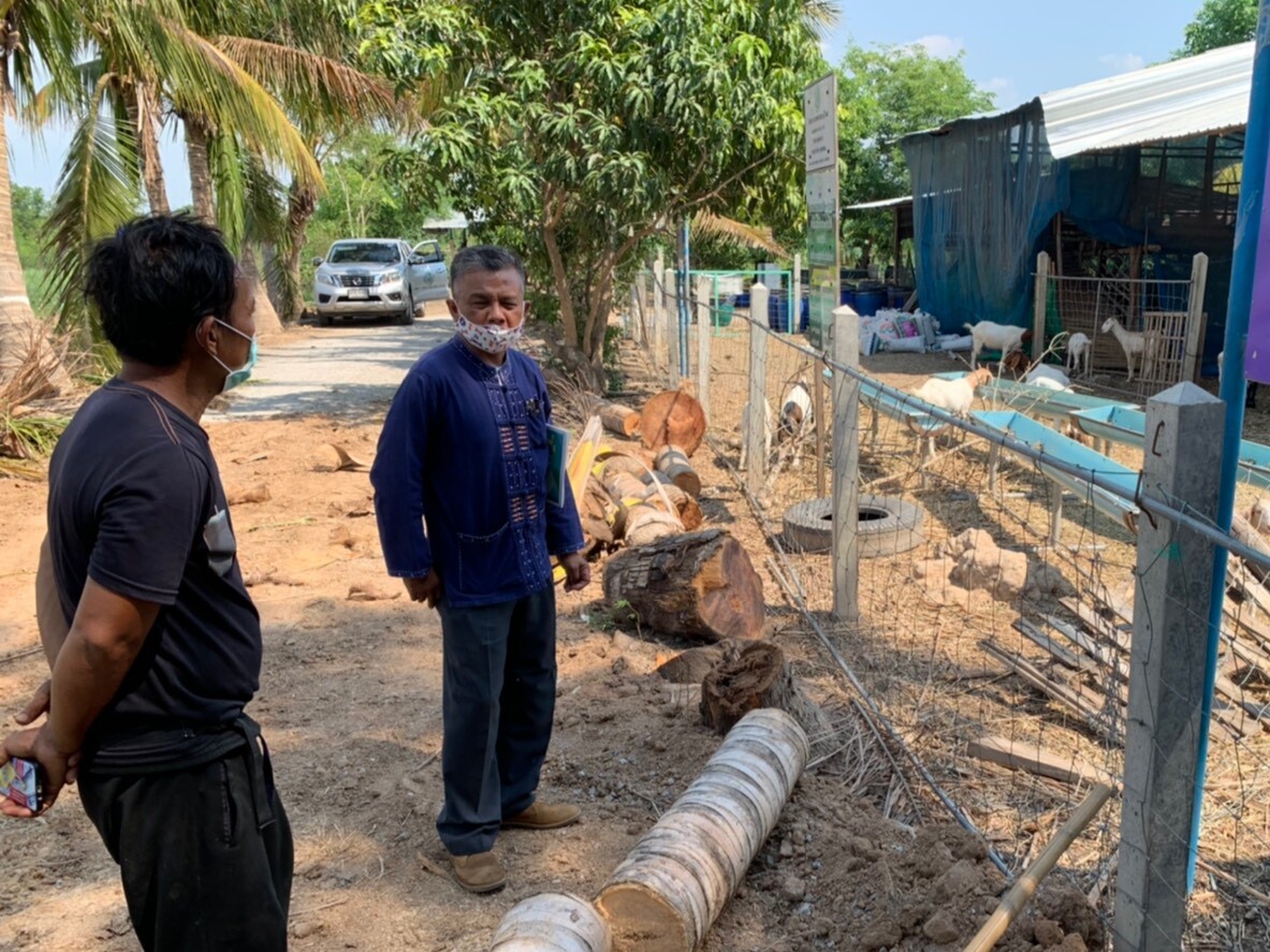 เกษตรกรเมืองสุพรรณ เลี้ยงปศุสัตว์ ควบคู่ปลูกหญ้าเนเปียร์ สร้างรายได้ สู้ภัยแล้ง-โควิด19