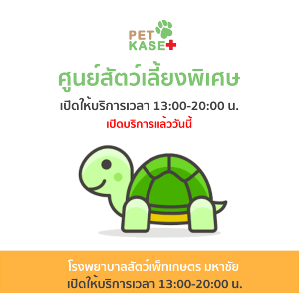 เปิดให้บริการแล้ววันนี้ ศูนย์สัตว์เลี้ยงพิเศษ โรงพยาบาลสัตว์เพ็ทเกษตร มหาชัย